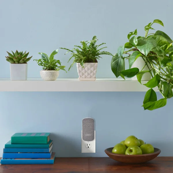 Lorex 2K Battery Video Doorbell with Wi-Fi Chimebox