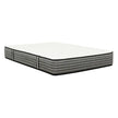 Contessa 30.5 (12 in.) Plush Top Pocket Coil Hybrid Mattress