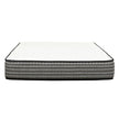 Contessa 30.5 (12 in.) Plush Top Pocket Coil Hybrid Mattress