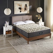 Beautyrest Platinum Bravo 27.9 cm (11 in.) Mattress or Set
