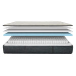Beautyrest Platinum Bravo 27.9 cm (11 in.) Mattress or Set