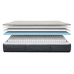 Beautyrest Platinum Bravo 27.9 cm (11 in.) Mattress or Set