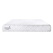 Cocoon by Sealy Essentials 20.3 cm (8 in.) Memory Foam Mattress