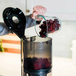 Omega Effortless Batch Juicer