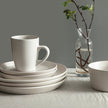 Stone Lain Albie Stoneware Dinnerware Set, 16-pieces