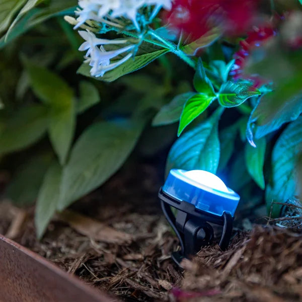 Enbrighten Vibe Wi-Fi LED Eternity Landscape Lights, 49.5 ft.