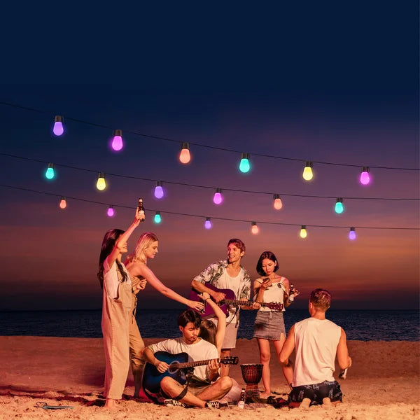 Govee 48 ft. (14.63 m) Lynx Dream LED String Lights