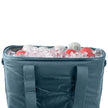 Clevermade Pacifica Pro Cooler, 36 cans