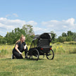 Wike Premium Suspension Bike Trailer - Includes Stroller and Jogger Kits