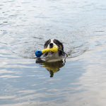 Zeus Nitro Dog Toy Bundle, 2-pack