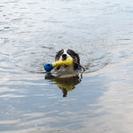 Zeus Nitro Dog Toy Bundle, 2-pack