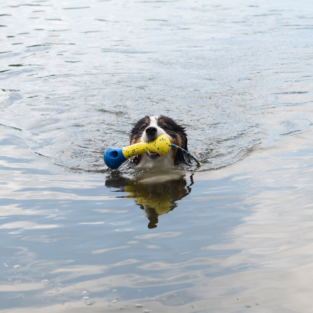 Zeus Nitro Dog Toy Bundle, 2-pack