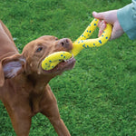 Zeus Nitro Dog Toy Bundle, 3-pack