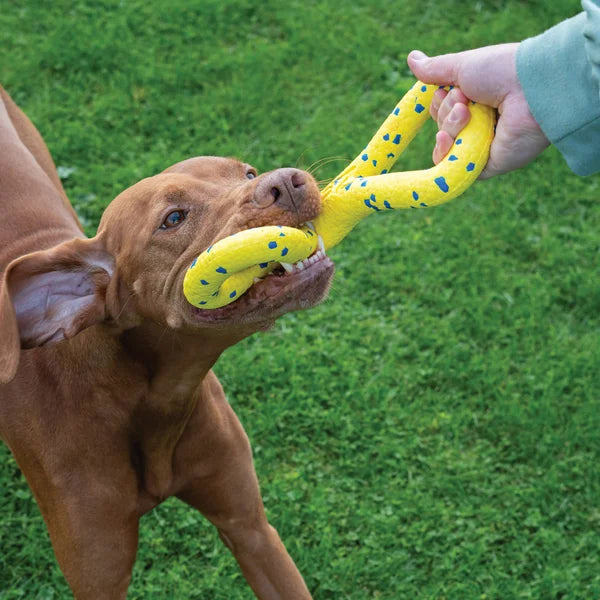 Zeus Nitro Dog Toy Bundle, 3-pack