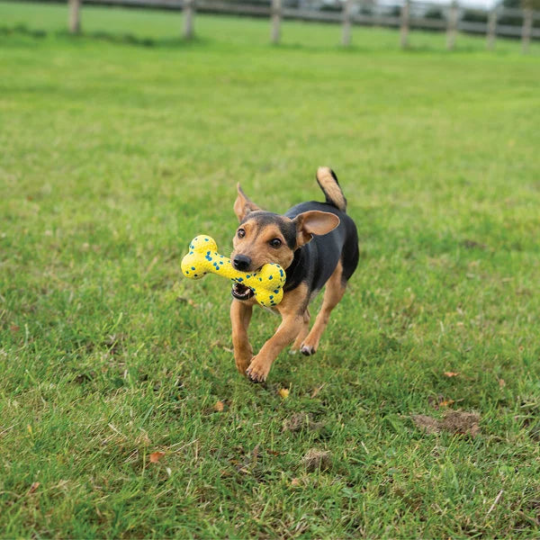 Zeus Nitro Dog Toy Bundle, 3-pack