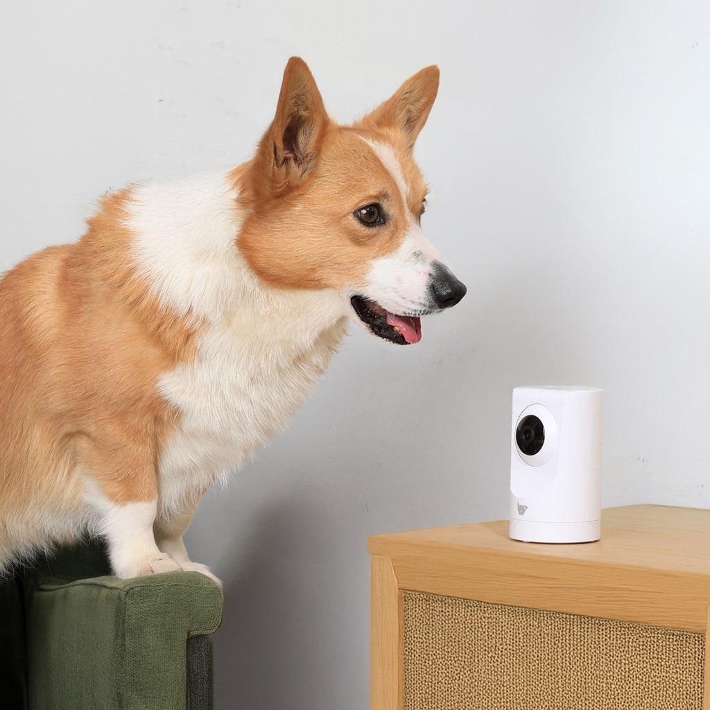 Instachew Purrsight 360° Smart Pet Camera with App and Night Vision, 2-pack