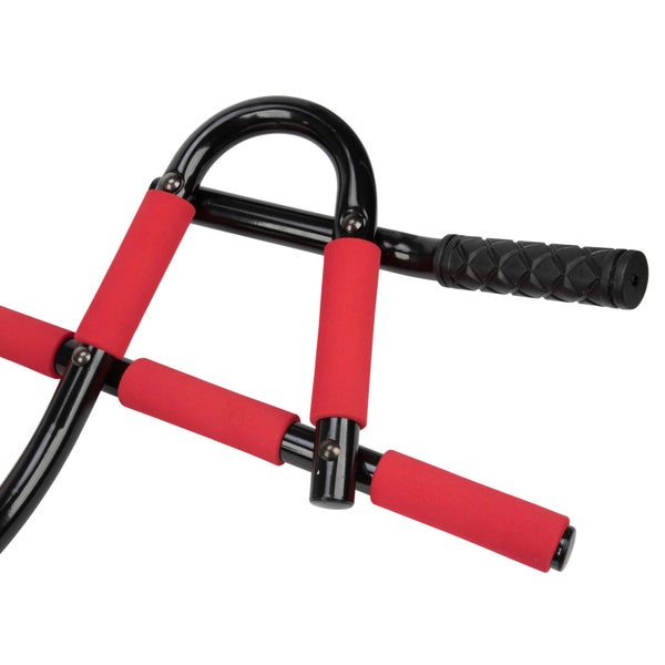 Everlast Pro Door Gym