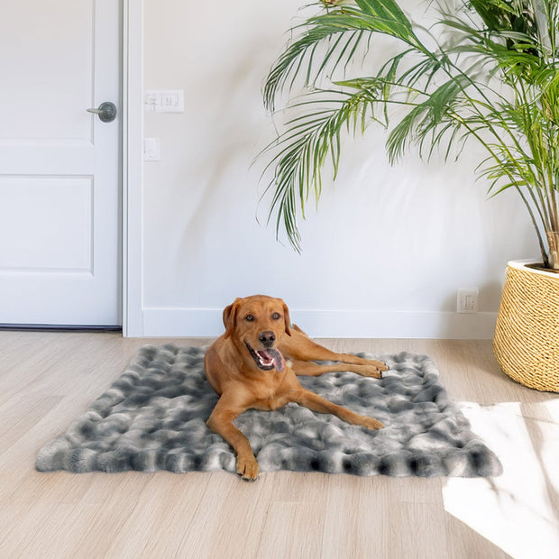 Life Comfort Luxury Pet Blanket, 40 in. x 50 in.