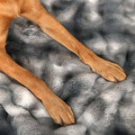 Life Comfort Luxury Pet Blanket, 40 in. x 50 in.