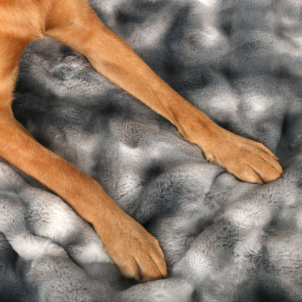 Life Comfort Luxury Pet Blanket, 40 in. x 50 in.