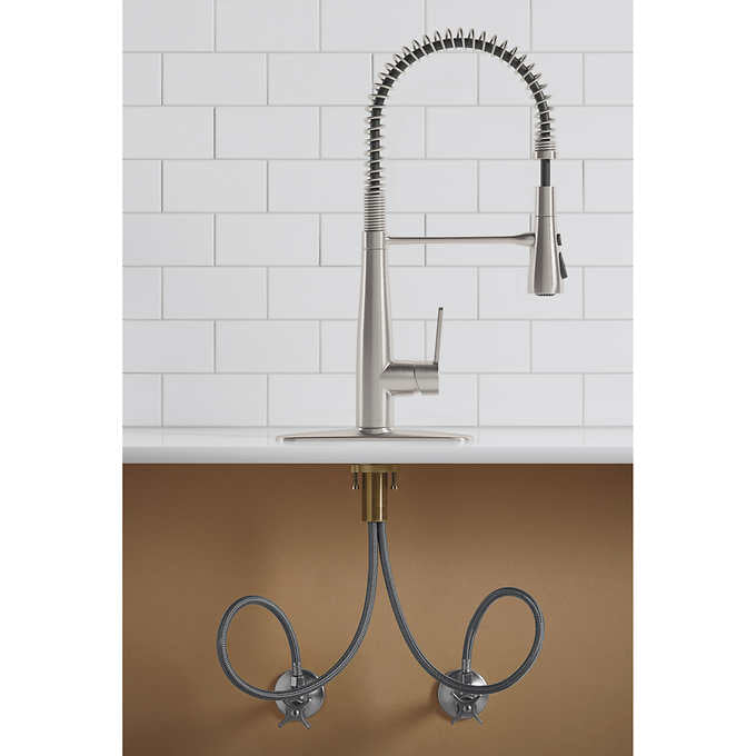 Kohler Semiprofessional Kitchen Faucet