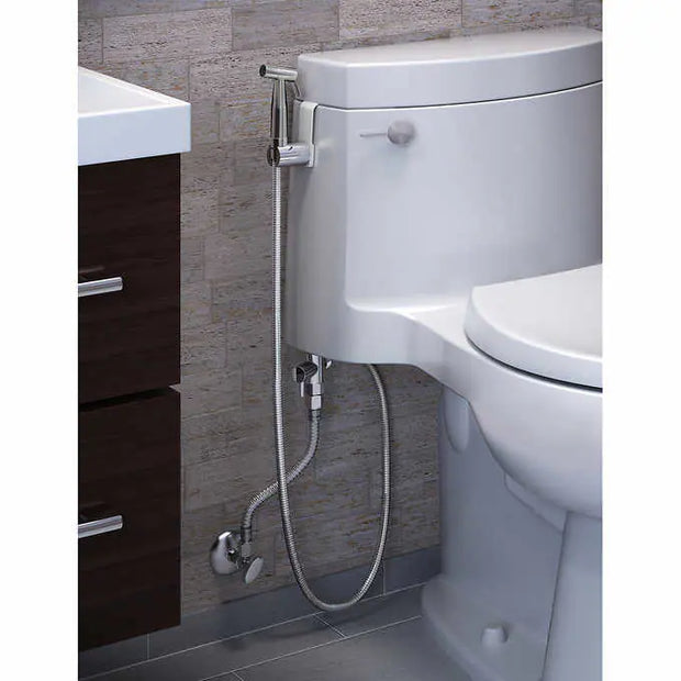 Brondell CleanSpa Luxury Hand Held Bidet