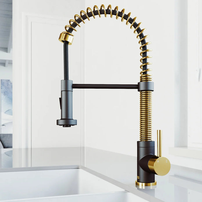 VIGO Edison Pull-down Spray Kitchen Faucet