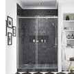 OVE Decors Kelsey 60 in. Sliding Glass Shower Door with Hardware