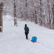 Pelican - Deluxe Baby Sled with Weathershield