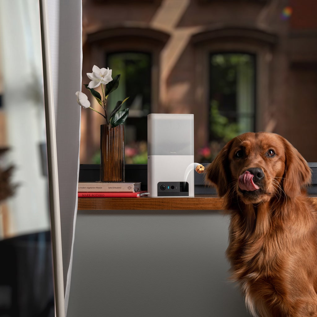 Petcube Bites 2 Lite Interactive WiFi Pet Monitoring Camera with Treat Dispenser