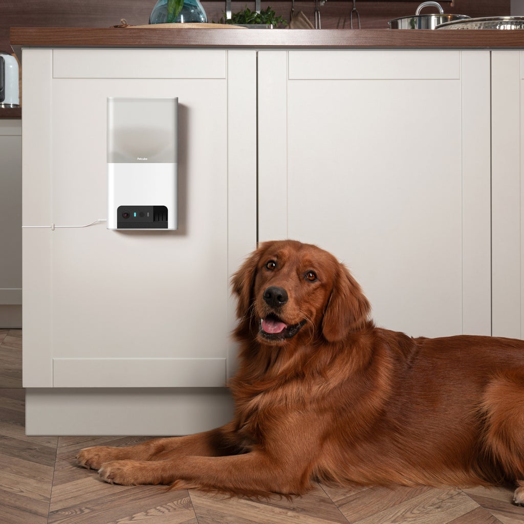 Petcube Bites 2 Lite Interactive WiFi Pet Monitoring Camera with Treat Dispenser