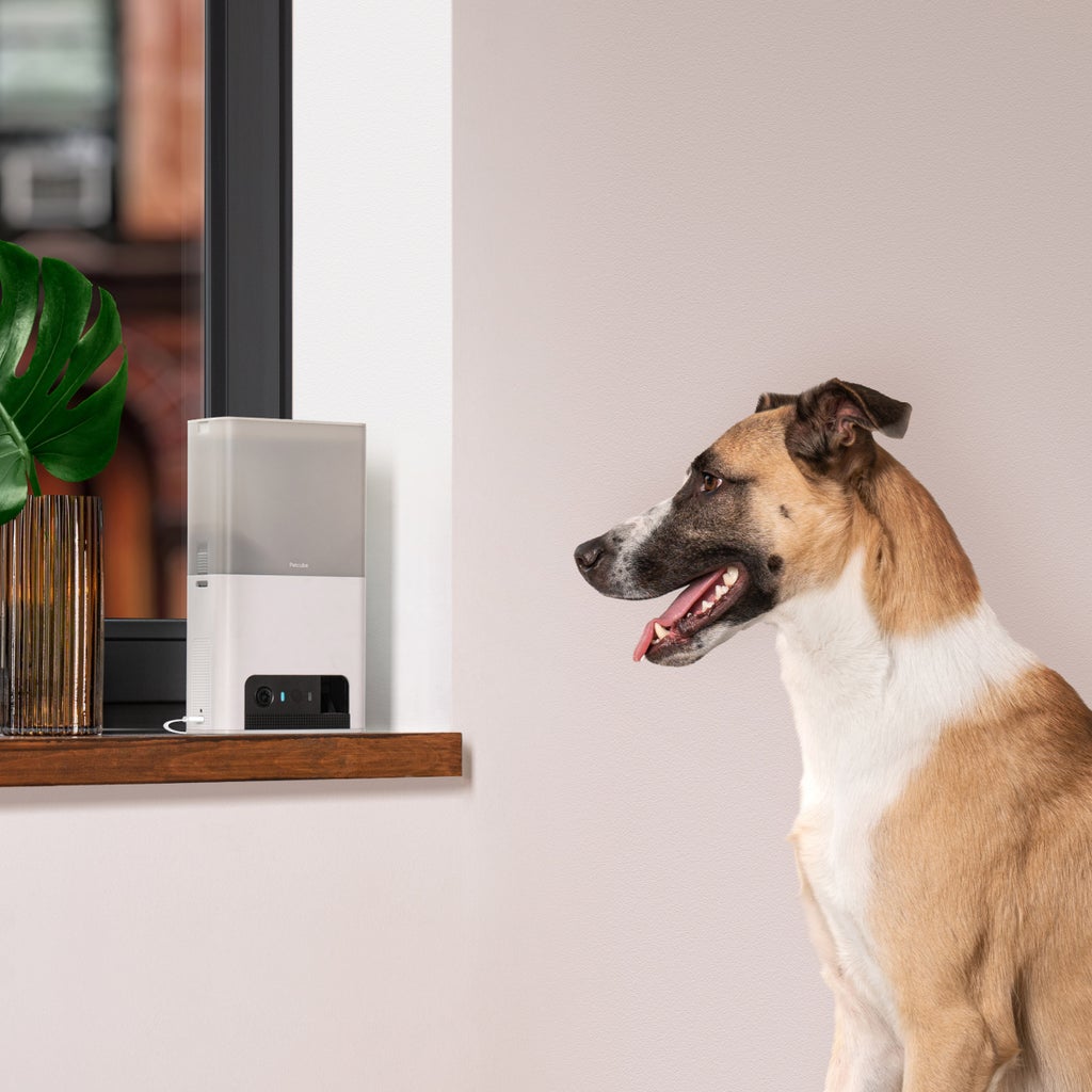 Petcube Bites 2 Lite Interactive WiFi Pet Monitoring Camera with Treat Dispenser