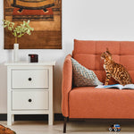 Petcube Play 2 Wi-Fi Pet Camera with Laser Toy