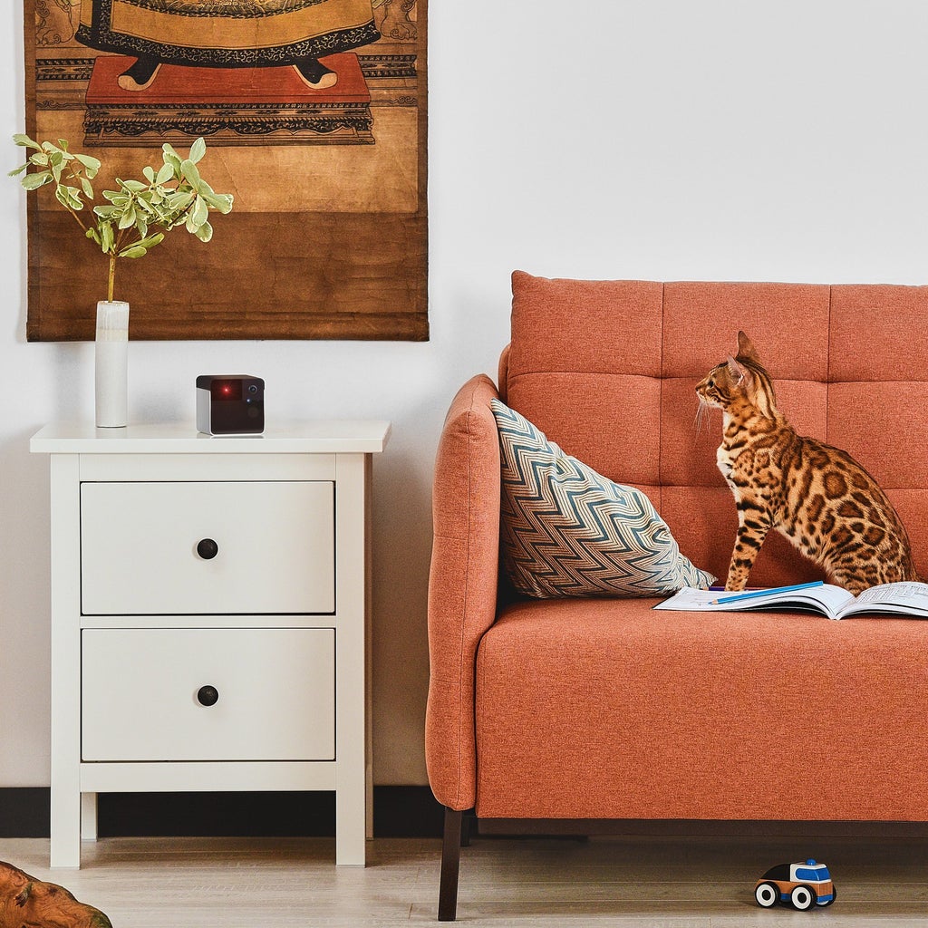 Petcube Play 2 Wi-Fi Pet Camera with Laser Toy