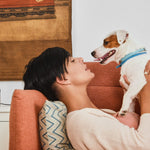 Petcube Play 2 Wi-Fi Pet Camera with Laser Toy