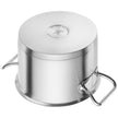 ZWILLING Pro Series Stock Pot, 8.1 L (8.56 qt.)