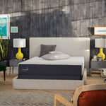 Cocoon by Sealy 25.4 cm (10 in.) Memory Foam Queen Mattress