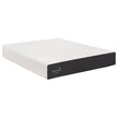 Cocoon by Sealy 25.4 cm (10 in.) Memory Foam Double Mattress