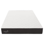 Cocoon by Sealy 25.4 cm (10 in.) Memory Foam Twin XL Mattress