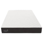 Cocoon by Sealy 25.4 cm (10 in.) Memory Foam Queen Mattress