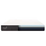 Cocoon by Sealy 25.4 cm (10 in.) Memory Foam Queen Mattress