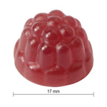 Jamieson Probiotic Gummies, 2 x 95 gummies