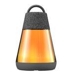 ION Luma Duo Bluetooth Speaker, 2-Pack