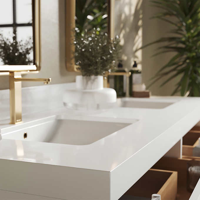 Forestmade Haldon 60 in. Double Vanity With Quartz Counter Top