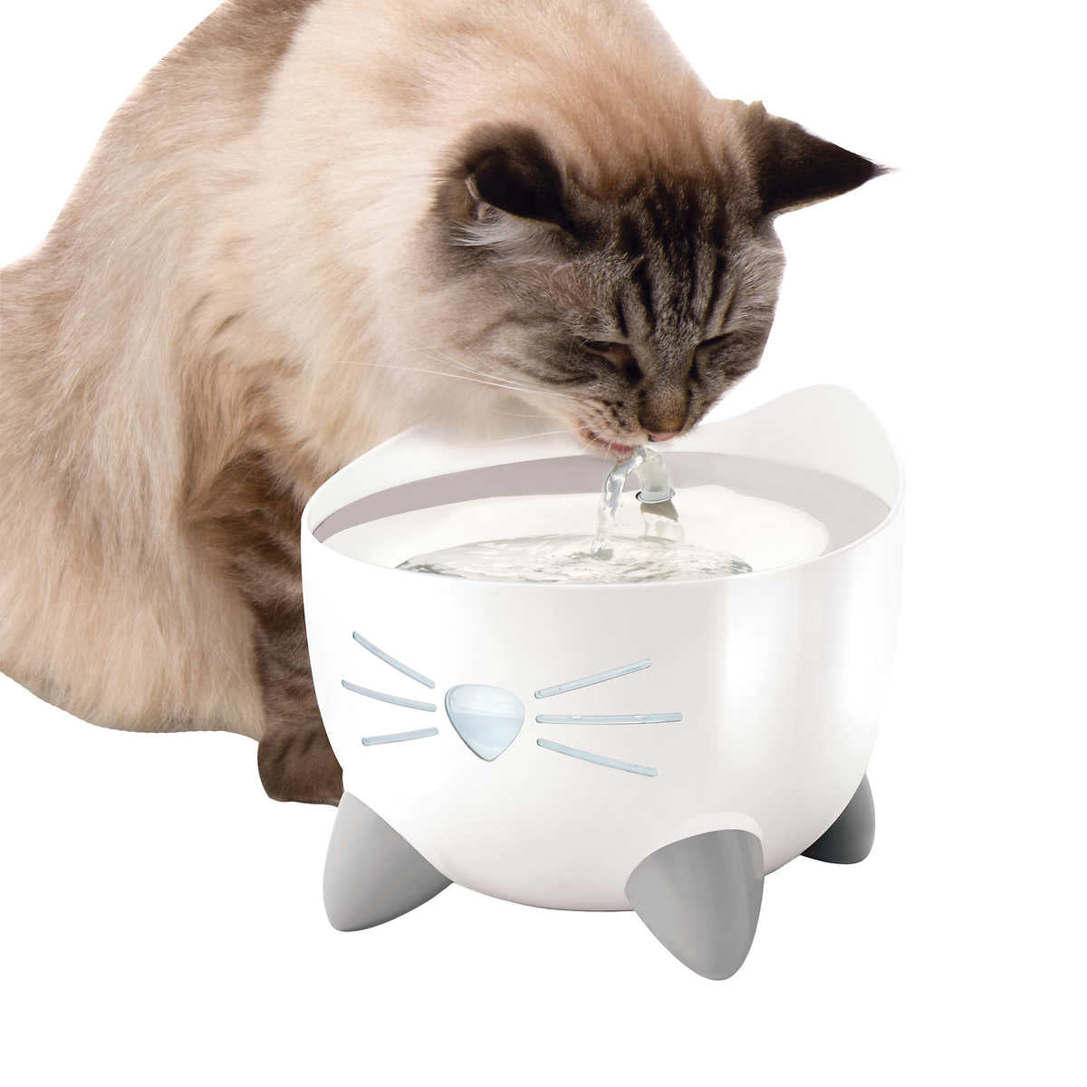 Catit Pixi Fountain with Stainless Steel Top and Catit Pixi Dish, White with 6 Filters