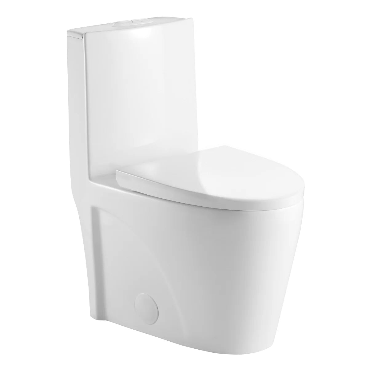 Agua Canada Tyrone 1-piece Dual Flush Toilet