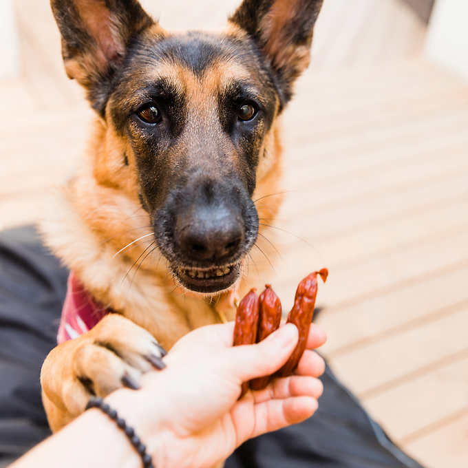 The Butcher’s Companion – Sausage Bites Dog Treats 10 x 250g – Pork Recipe