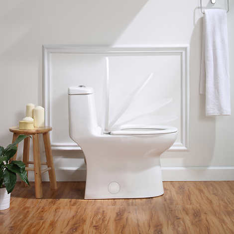 OVE Zino 1-piece Dual Flush Toilet
