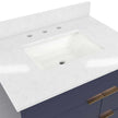 Cosmo Living Leona 30 in. Bathroom Vanity