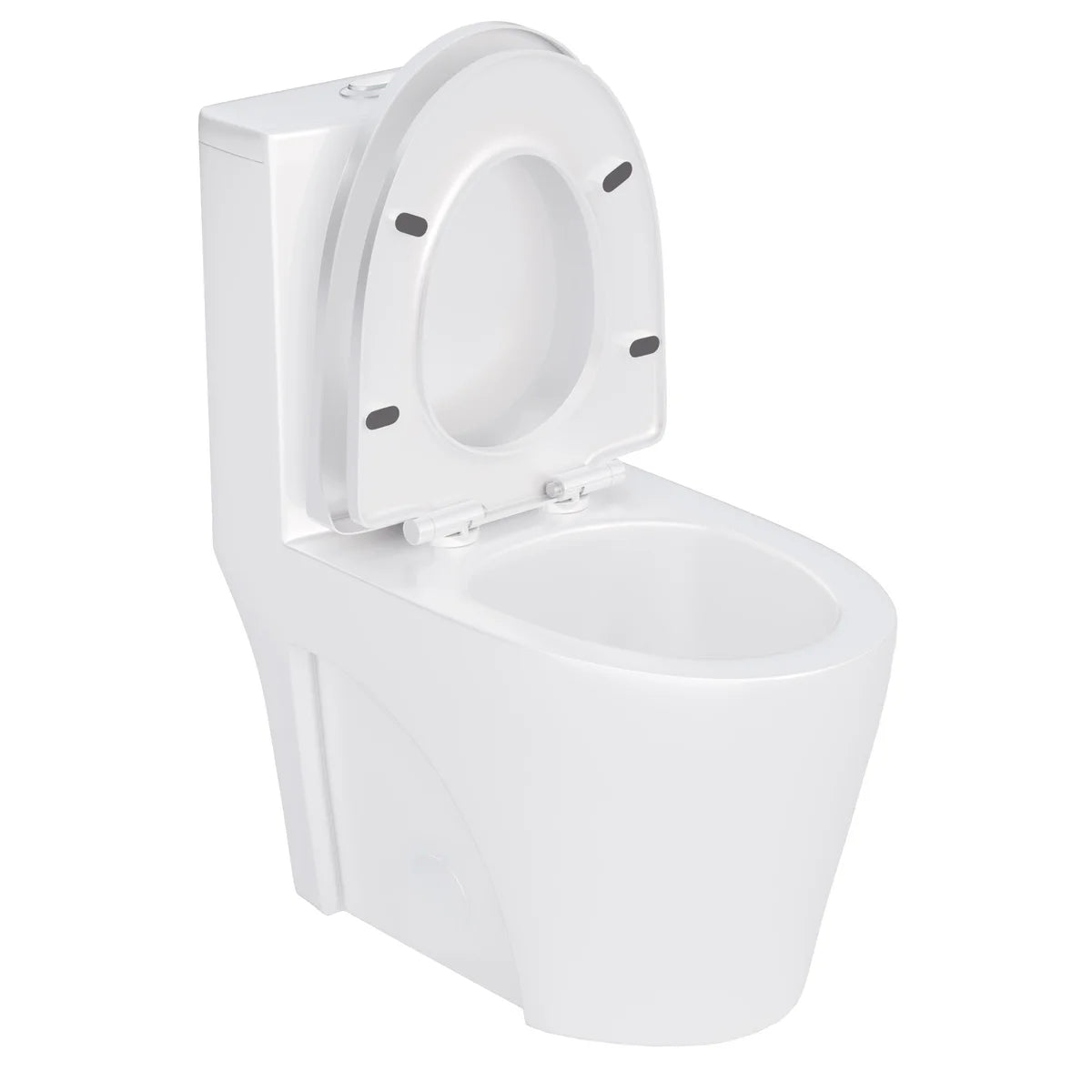 Agua Canada Tyrone 1-piece Dual Flush Toilet
